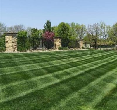 Residential Lawn Care Des Moines, IA